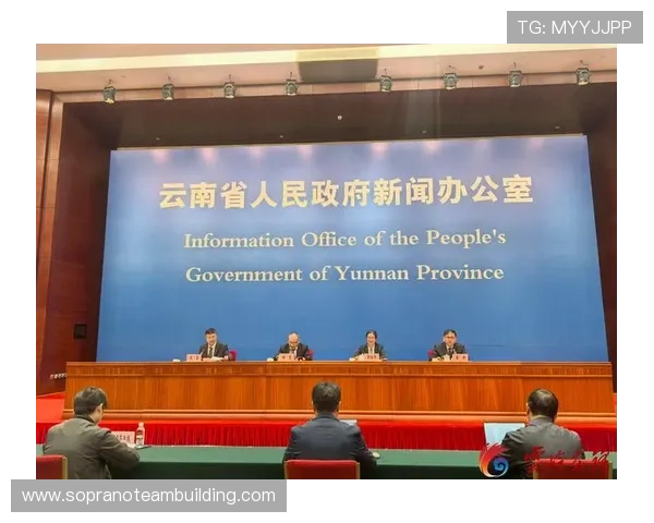 开云真人游戏多元化发展策略，推动行业健康持续发展实现共赢局面