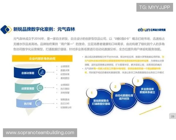 B体育手机官网提供的赛事直播和比赛数据分析功能全面解析