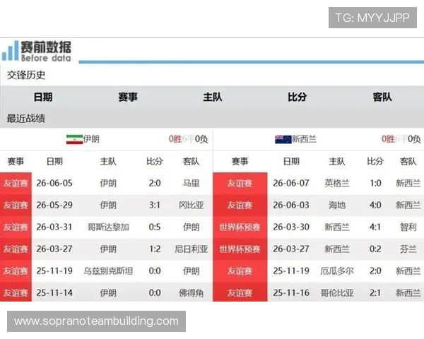 2026年足球世界杯伊朗VS新西兰比赛亮点与球队战术分析